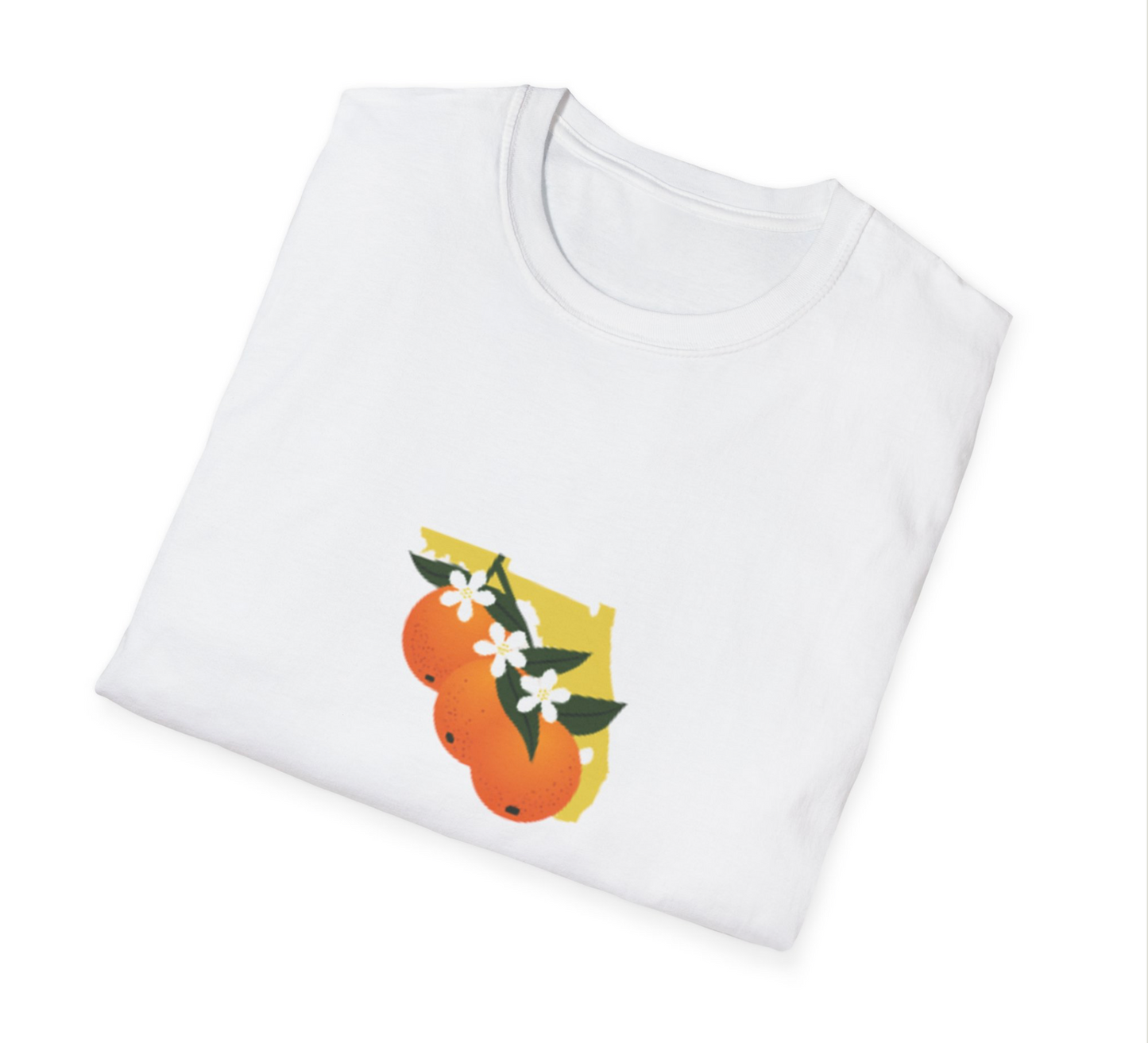 Florida Time To Shine T-Shirt