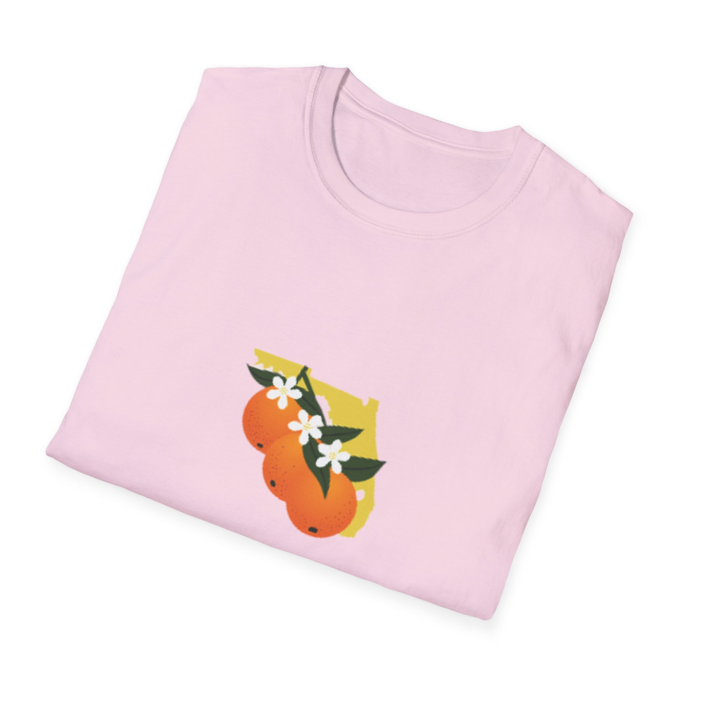 Florida Time To Shine T-Shirt